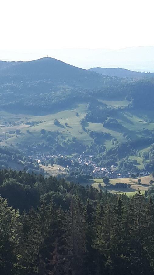 Les O Welches Cote Lac Orbey Exterior photo