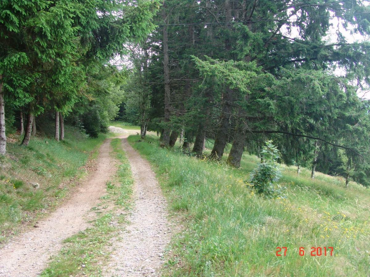Les O Welches Cote Lac Orbey Exterior photo